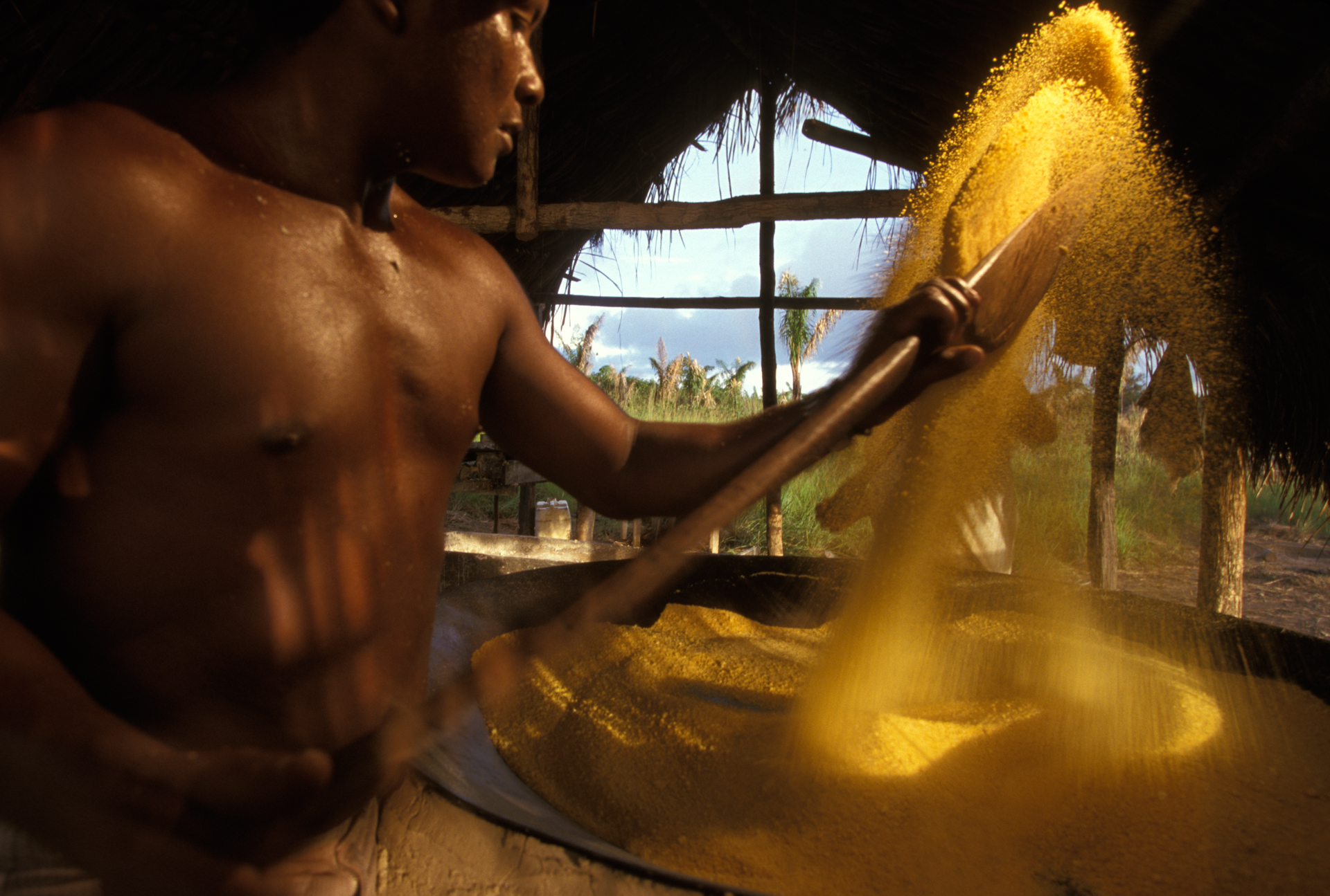  Using a wooden spatula, a Waiapixana worker dries the locally-grown cassava grain (maniok) over a large, heated pan. The cassava will later be sold at a nearby market.  Moskow, Brazil  