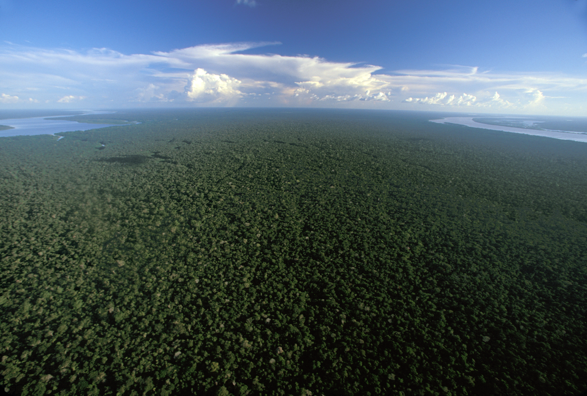  Aerial view of the Amazon Rainforest near Nova Olinda between the Rio Madera and Rio Canuma rivers.  Nova Olinda, Brazil  