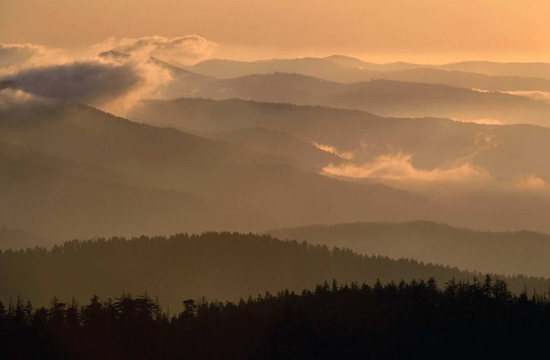  At an elevation of 6643 feet, the highest point along the Appalachian Trail, Clingman’s Dome provides spectacular scenic vistas.  Clingman’s Dome, Tennessee  