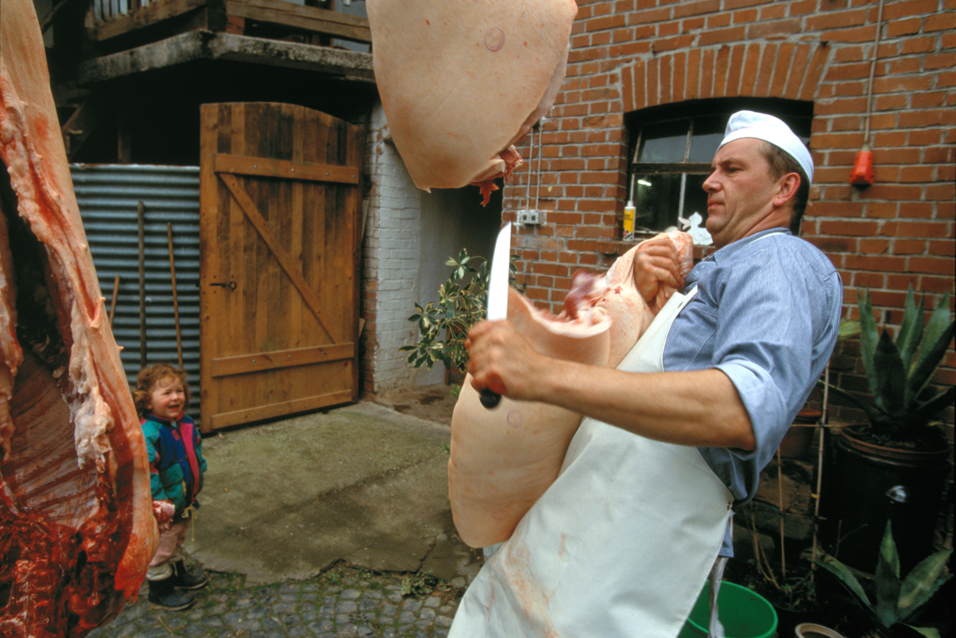  Curiosity and fear duels in a child’s expression as a butcher slices a pig in half in a farmyard.  Alsfeld, Germany  