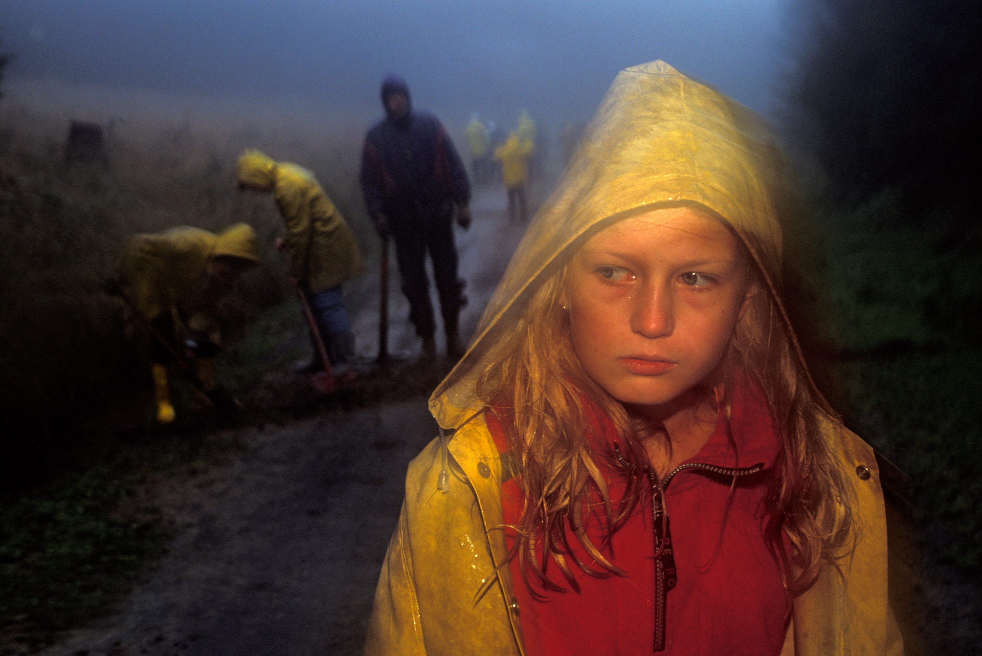  A child pauses resentfully while working in a rainy forest.  Hoher Meisner Mountain, Germany  
