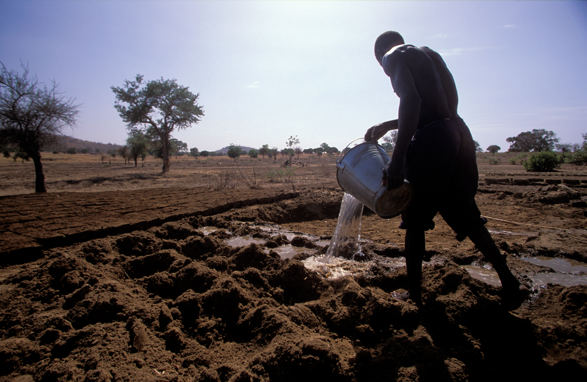  A man pours water into brick molds containing a mixture of clay and straw. The bricks are used to construct houses that will later be decorated by the Gurunsi women.  Tiebélé, Burkina Faso  