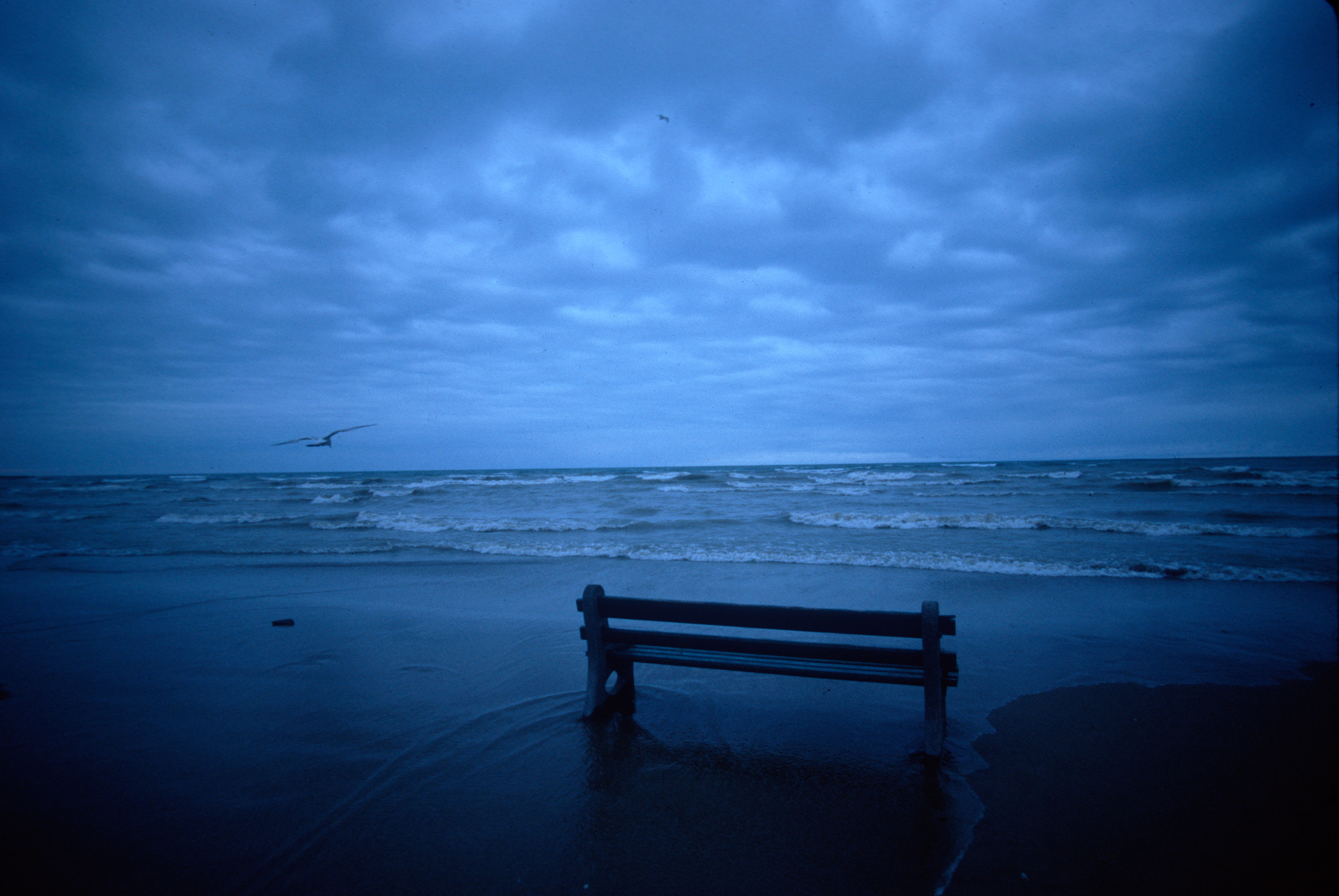  With Toronto’s short summer season, the beaches north of Lake Ontario lay deserted most of the year. 