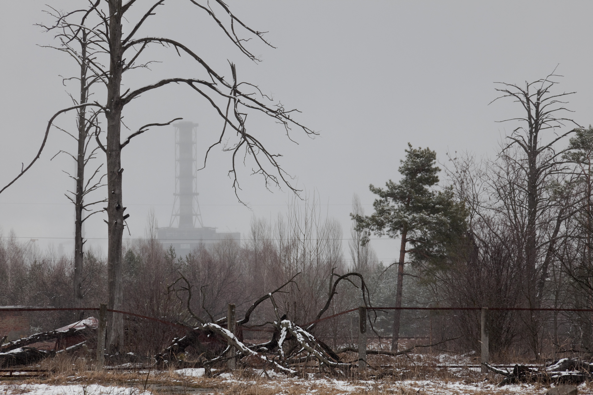  A view of the sarcophagus with remnants of the 10 square kilometer Red Forest surrounding the Chernobyl Nuclear Power Plant.  Chernobyl Nuclear Power Plant, Ukraine  