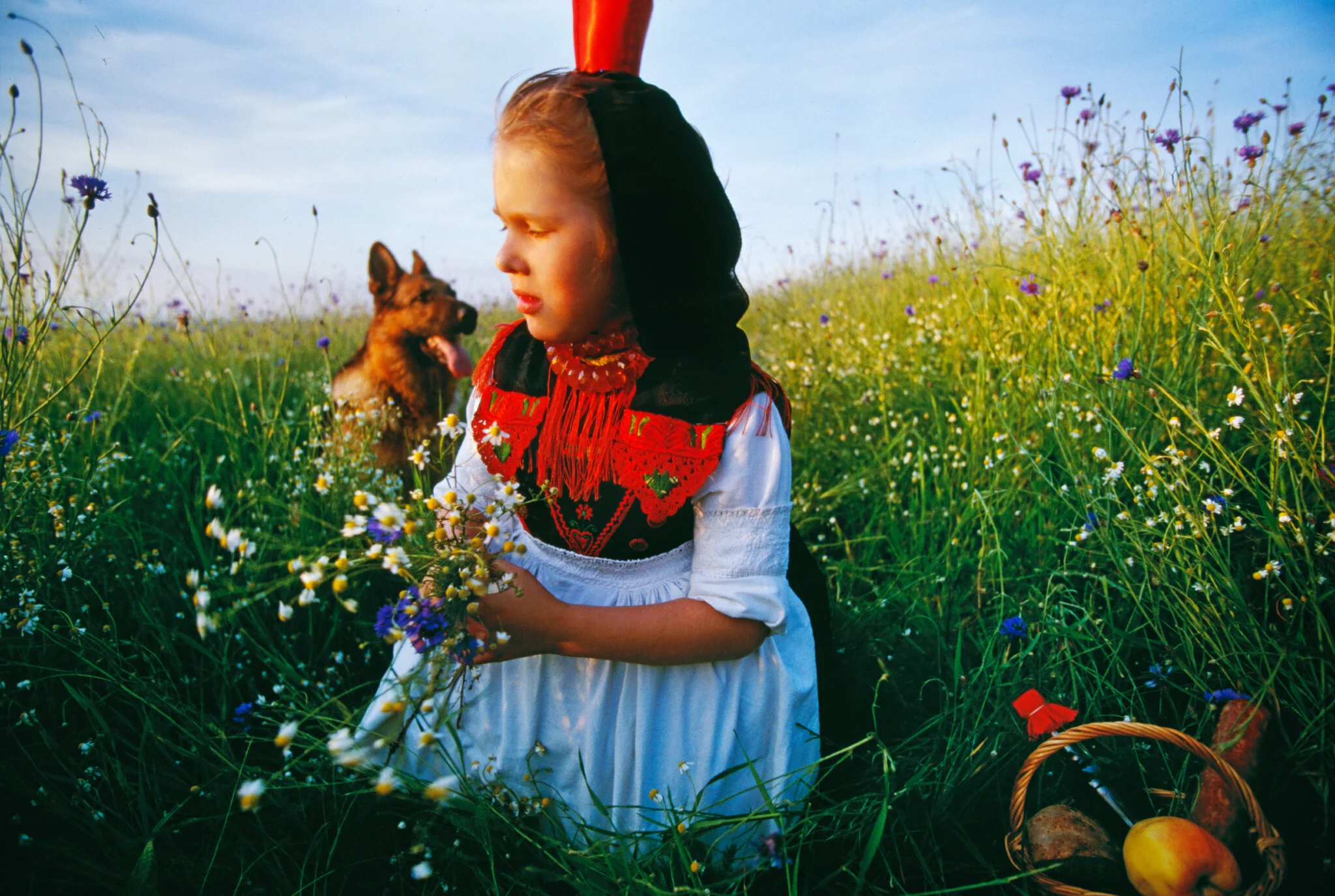 Several photographs to be sold at local arts shop in Alsfeld, Germany