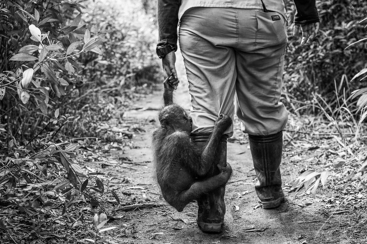 Global Peace Photo Award Call for Entry