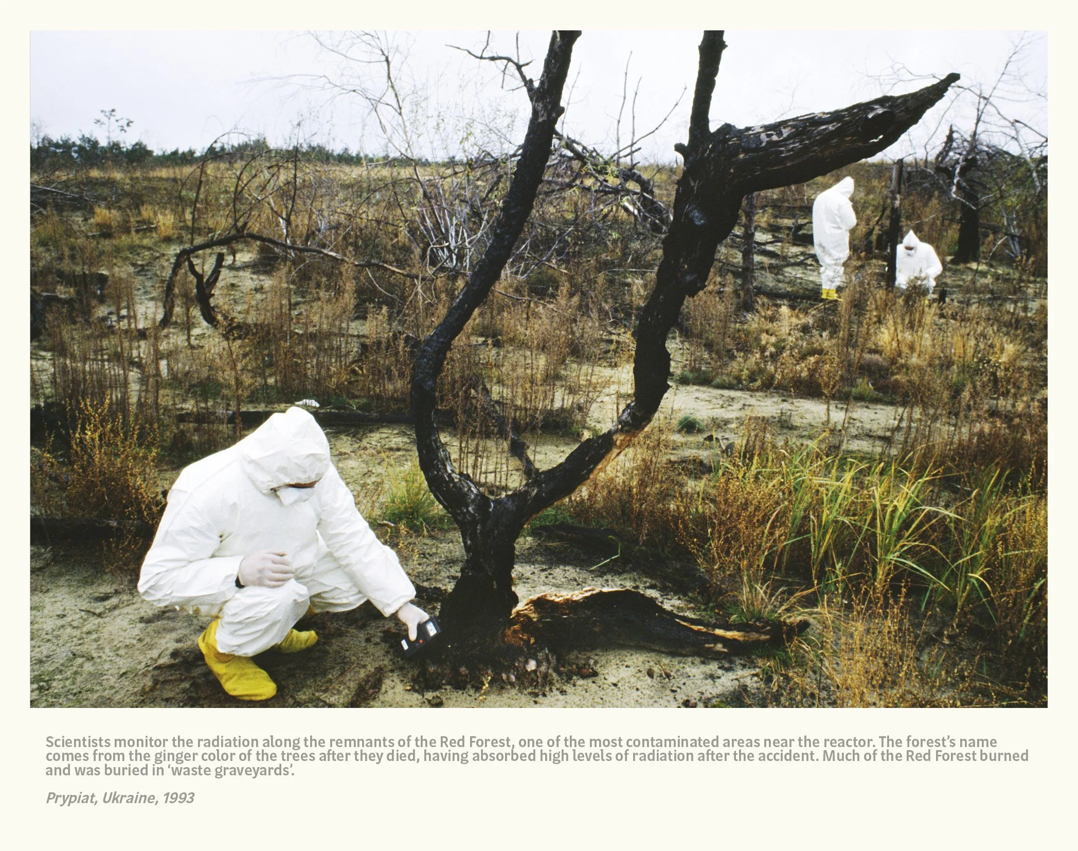 Chernobyl 101 selects 25103139.jpg