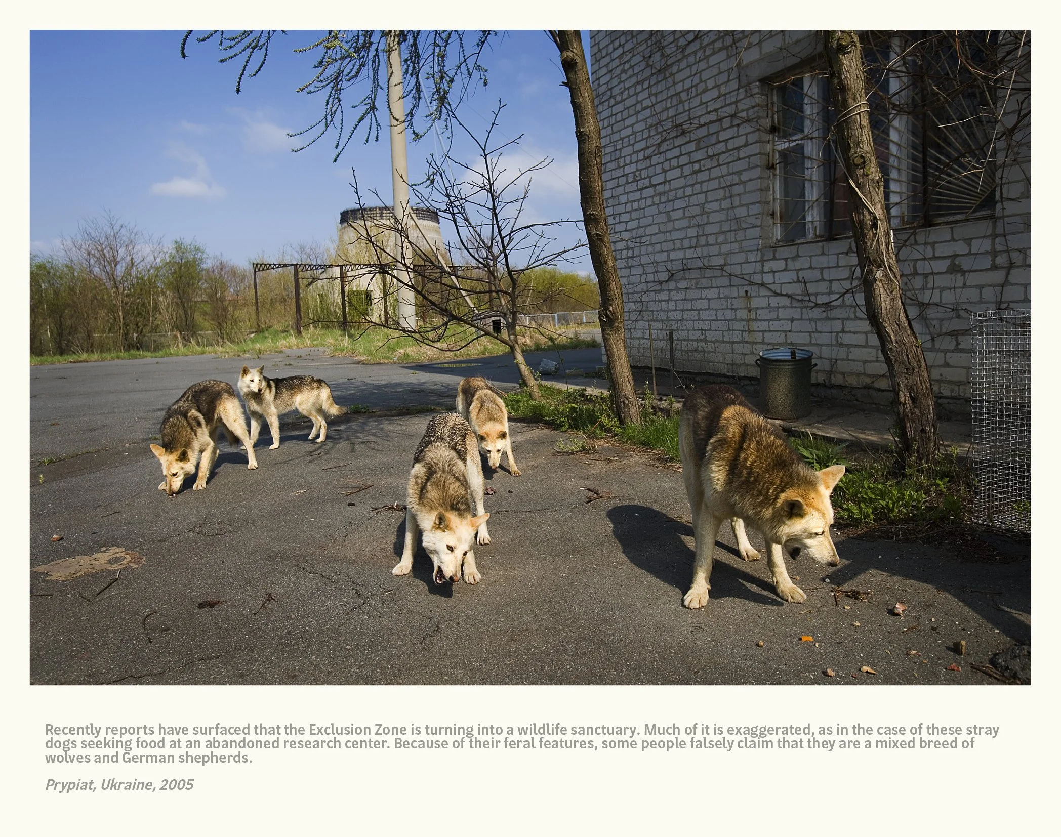 Chernobyl 101 selects 25103151.jpg