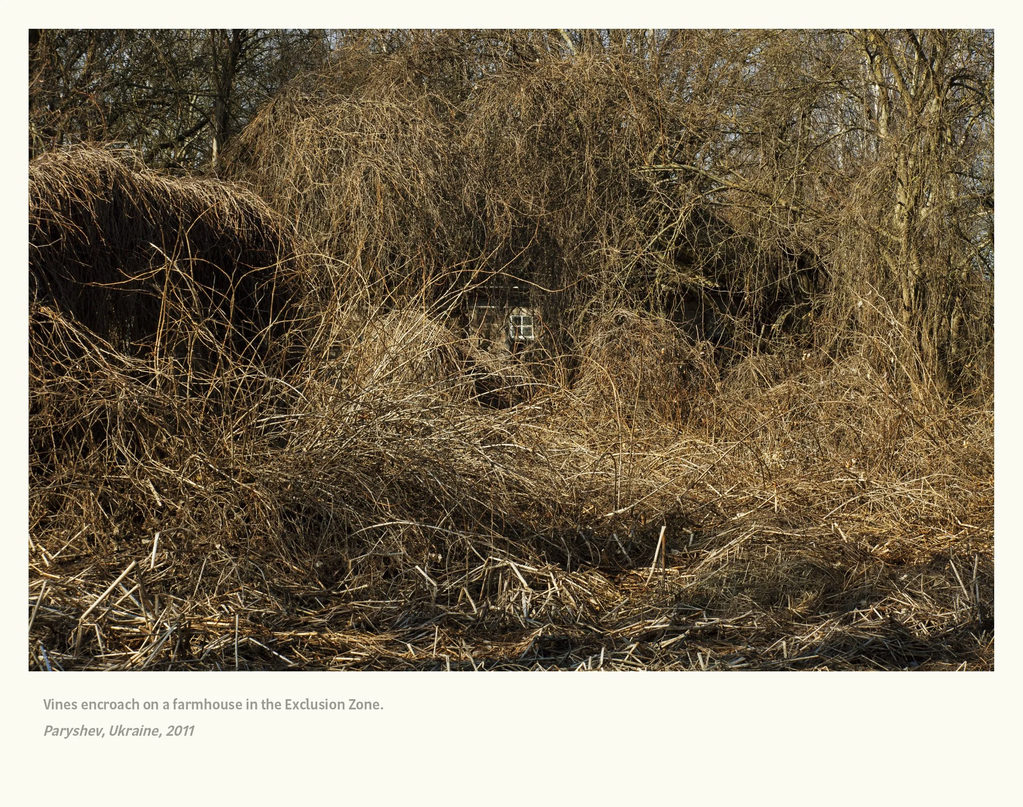 Chernobyl 101 selects 25103154.jpg