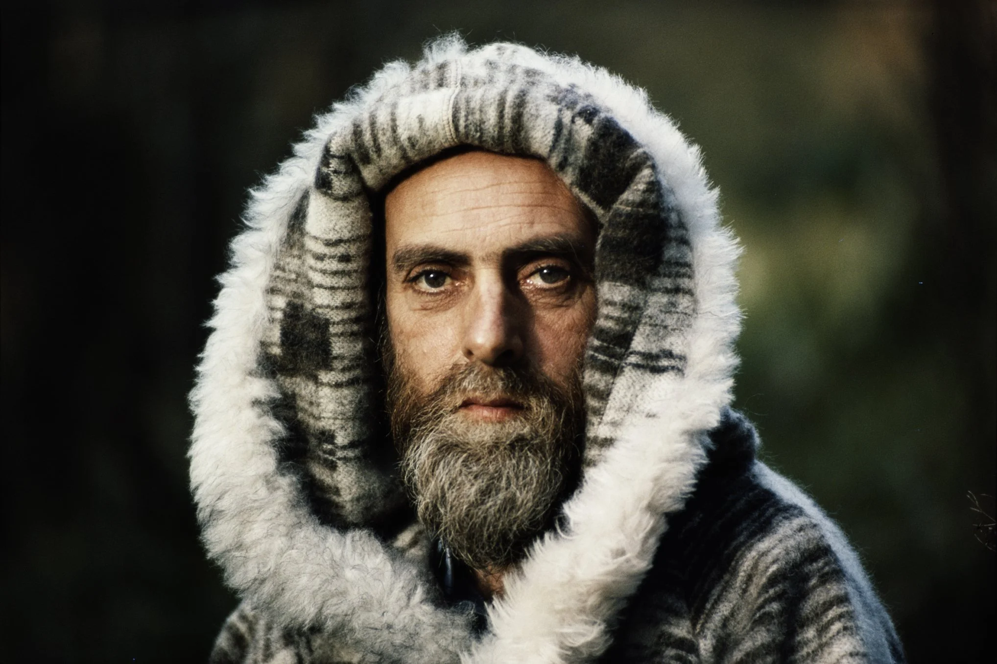 Wolf in Sheep's Clothing?