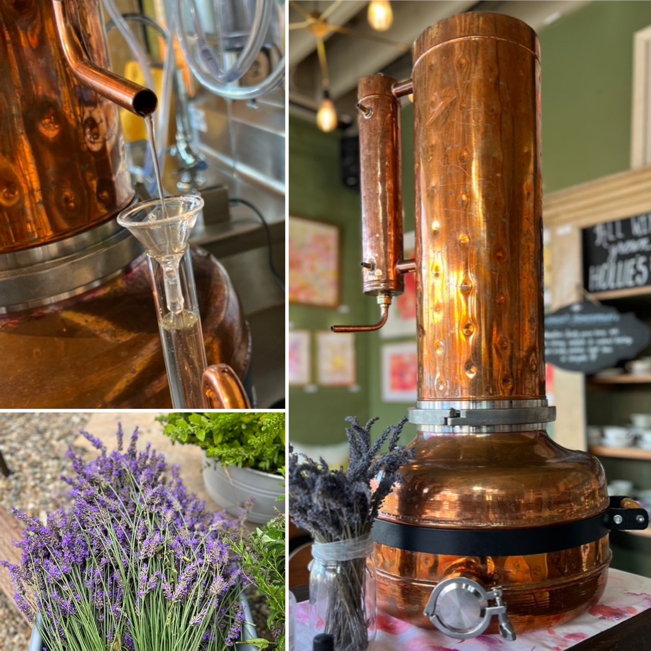 Distilling Herbs: Make Essential Oils &amp; Hydrosols
