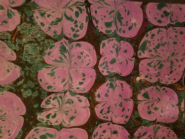 papermarble8-thumb-375xauto-29315.jpg