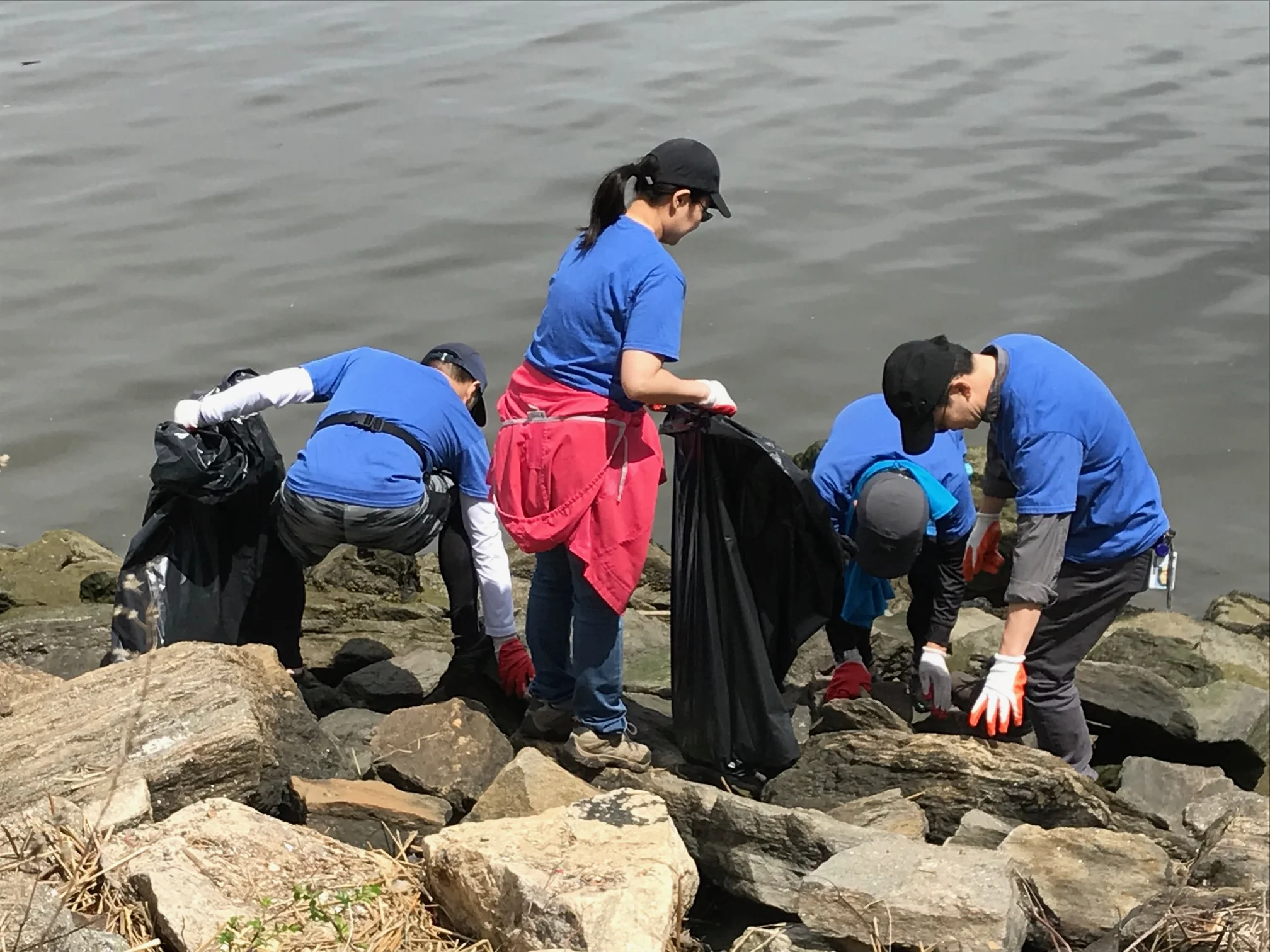 SEASON ON HOLD DUE TO COVID-19    ---------Jennifer's Annual Flushing Bay Shoreline Cleanup 2020