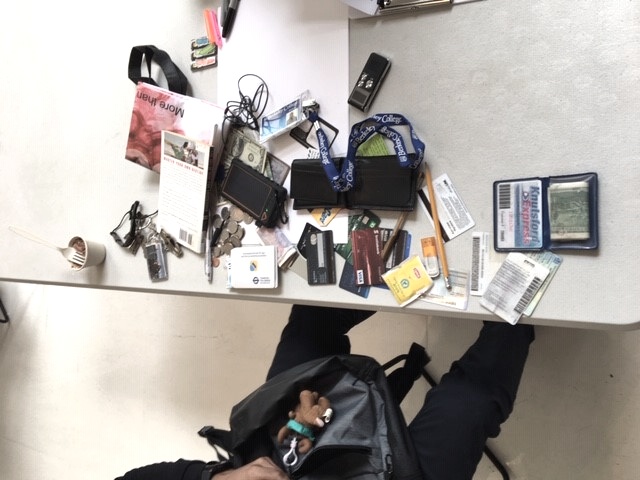 Romaine - Contents of Backpack.jpg
