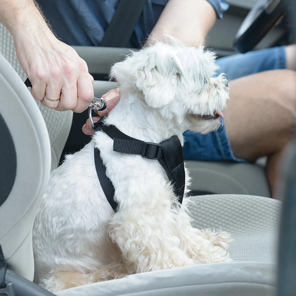 iStock-911938438-services.jpg
