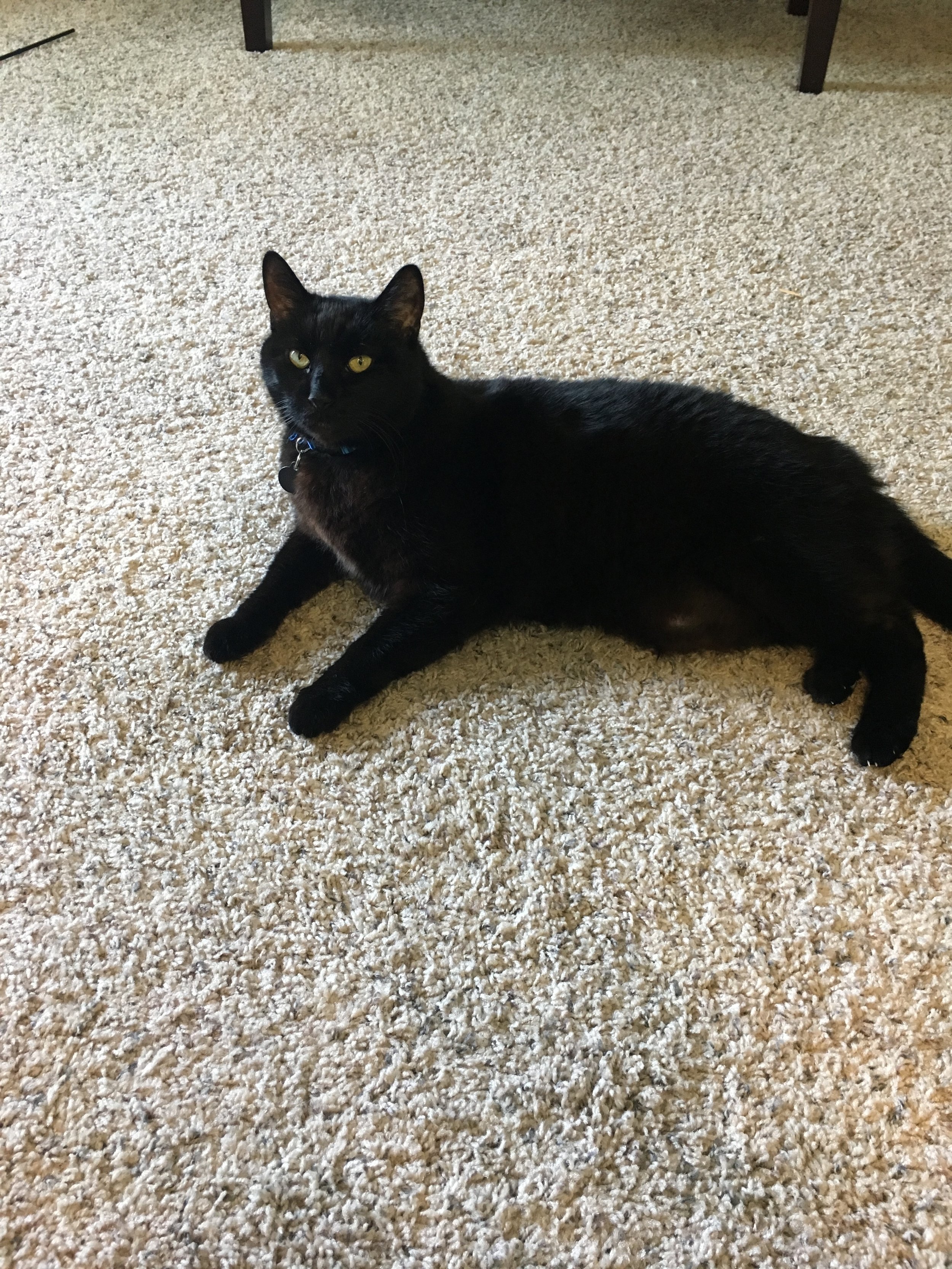 I’d give 6 stars if Yelp would let me!