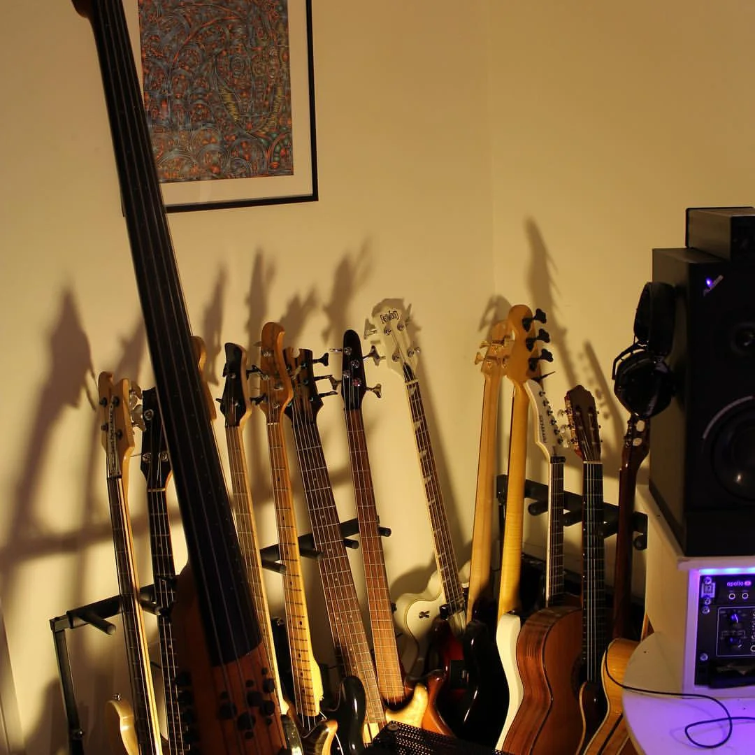 Dan's impressive bass guitar collection including upright bass!
