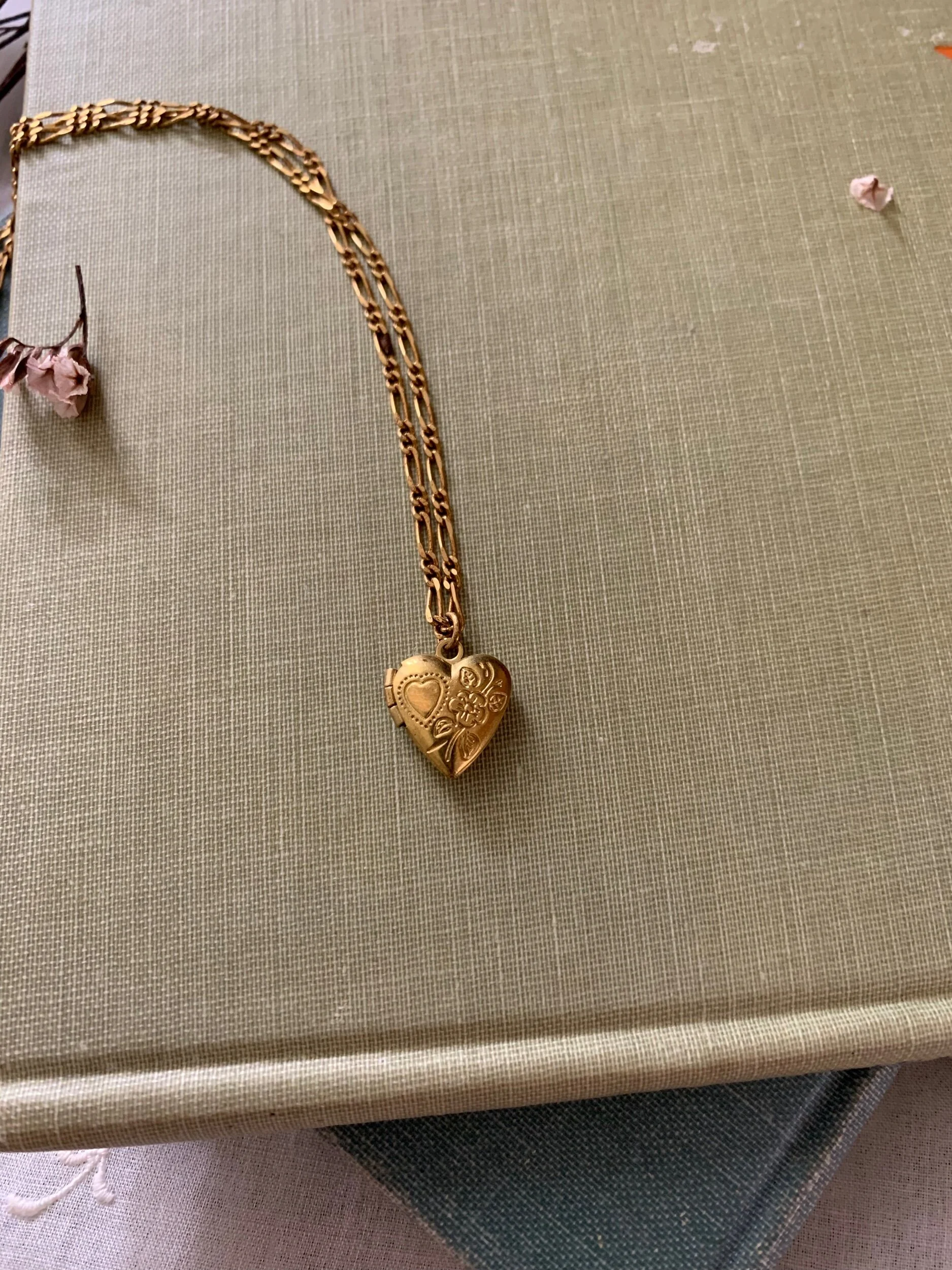 A1B2975E-3099-43F9-A2DC-F80DAB906D7F