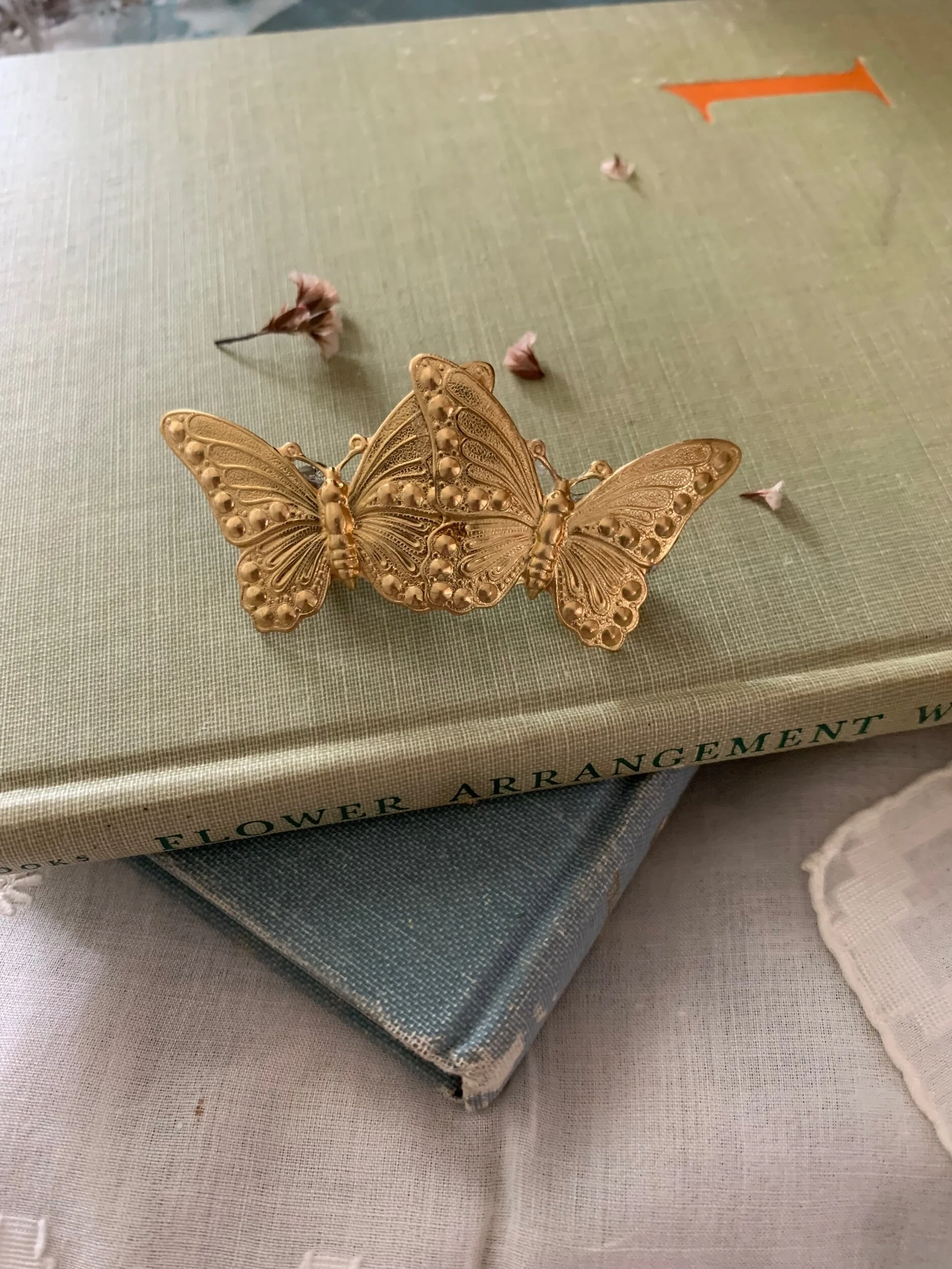 58A8E068-55CF-42F6-B24C-4D4FE4C50A71