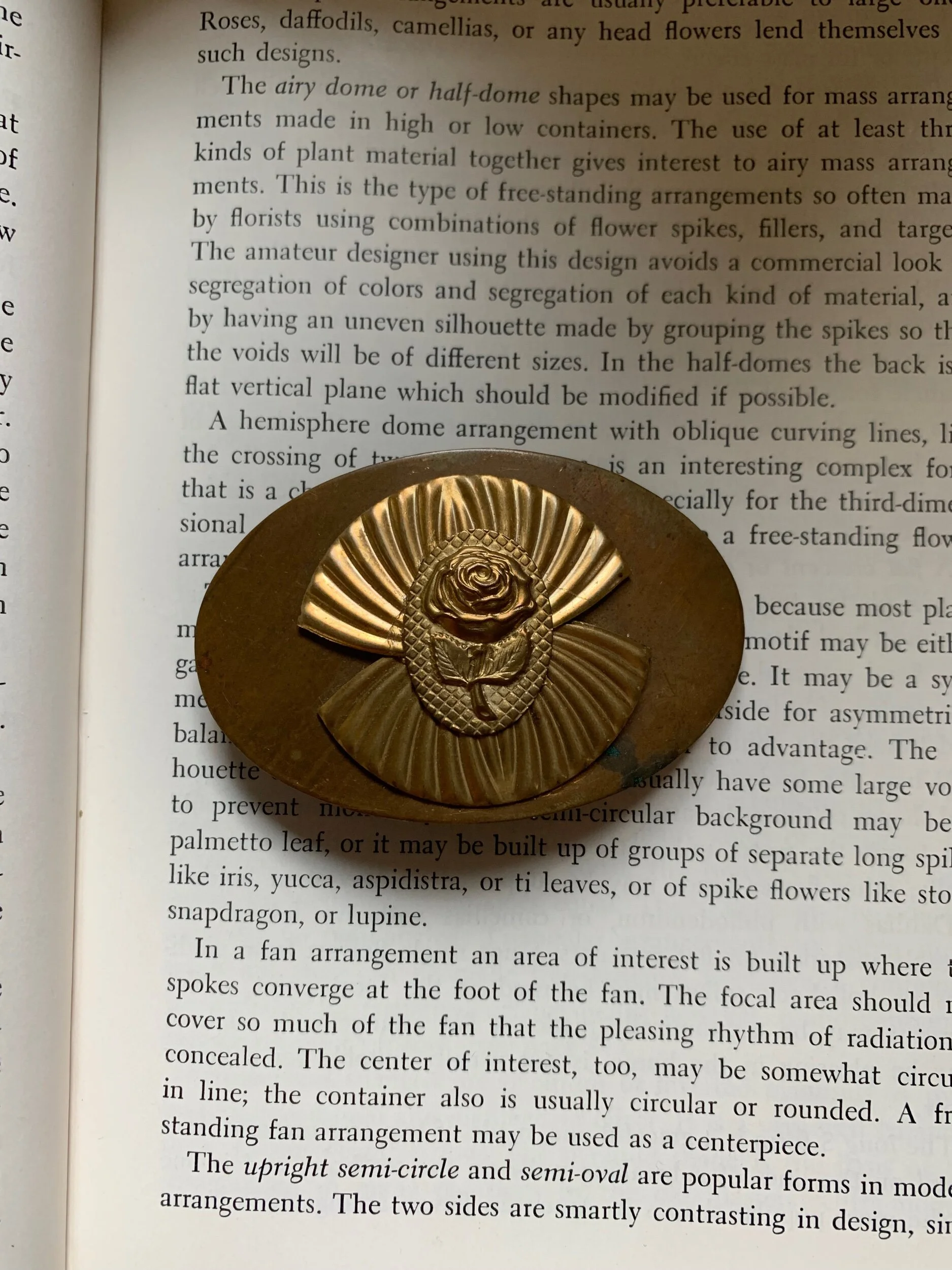 693B1176-1F14-404E-8B5D-5FCD8BE6A399