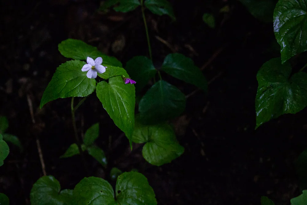 Unknow It