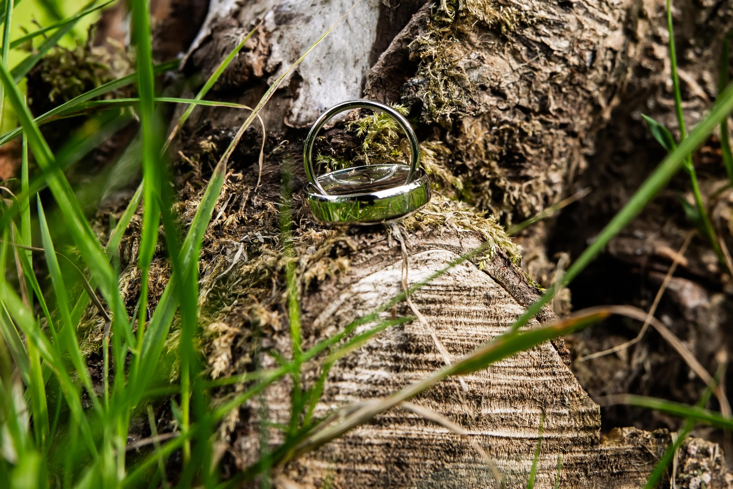 Steph & Danny-40.jpg