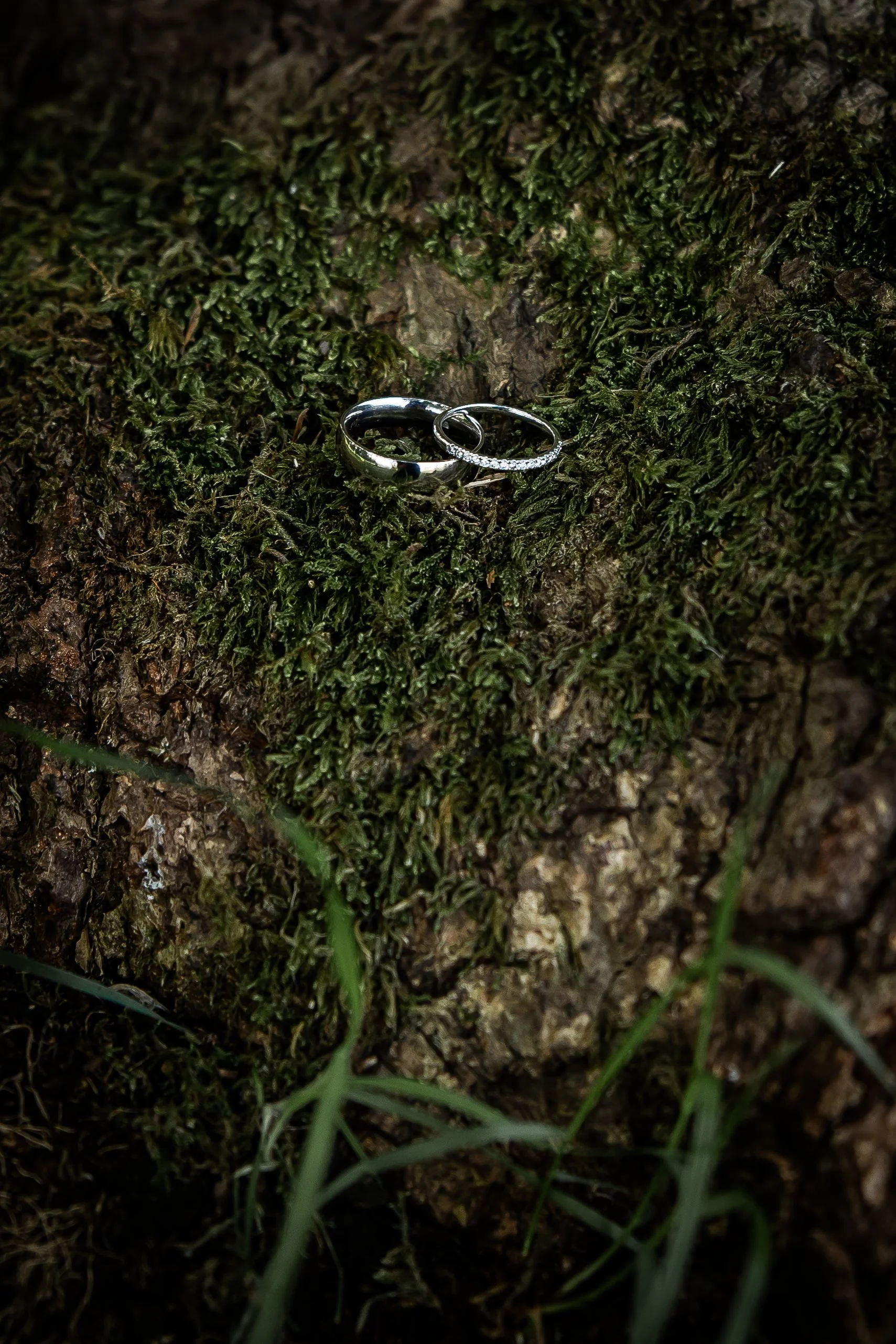 Laura & Stephen-197.jpg
