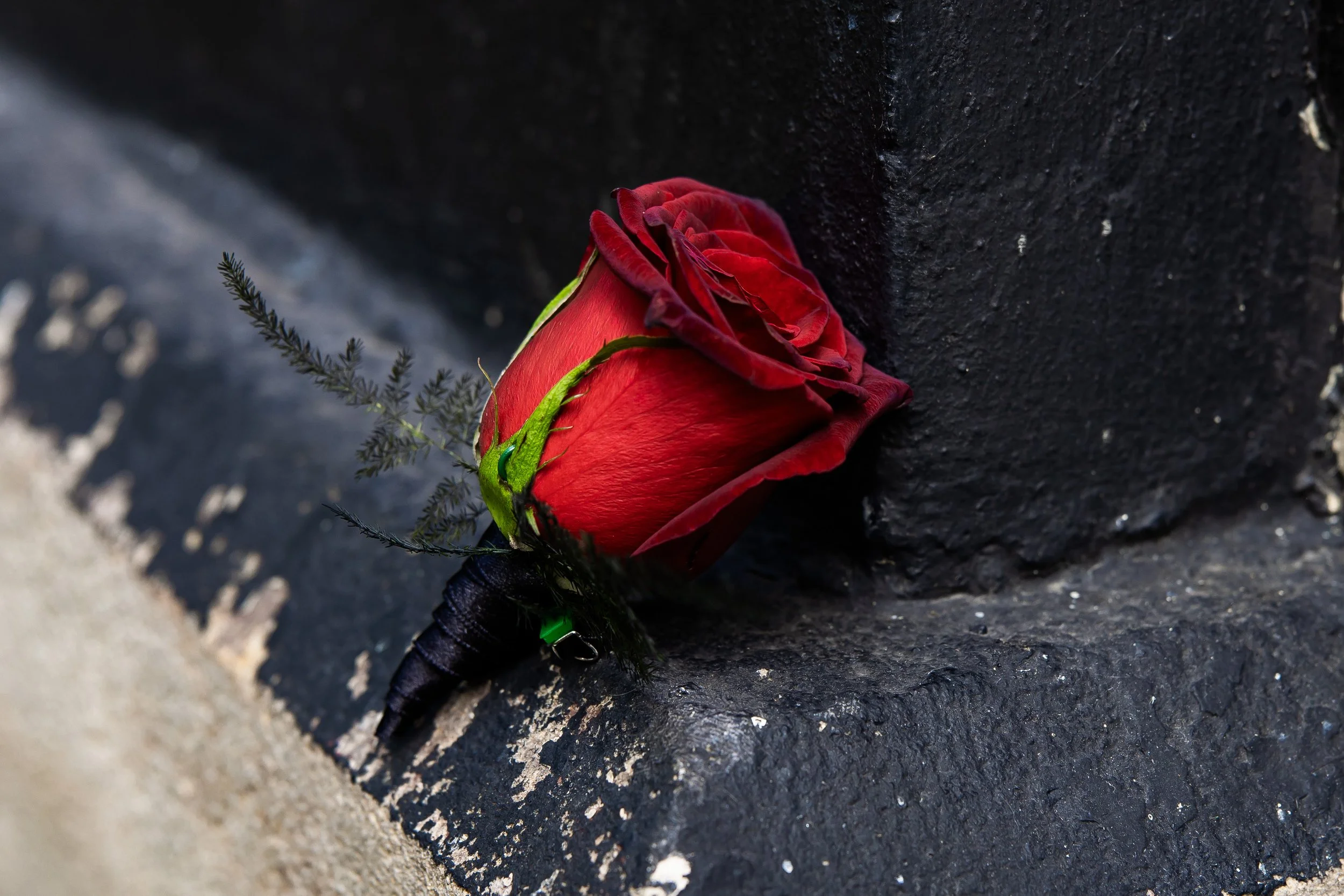 Steph & Danny-88.jpg