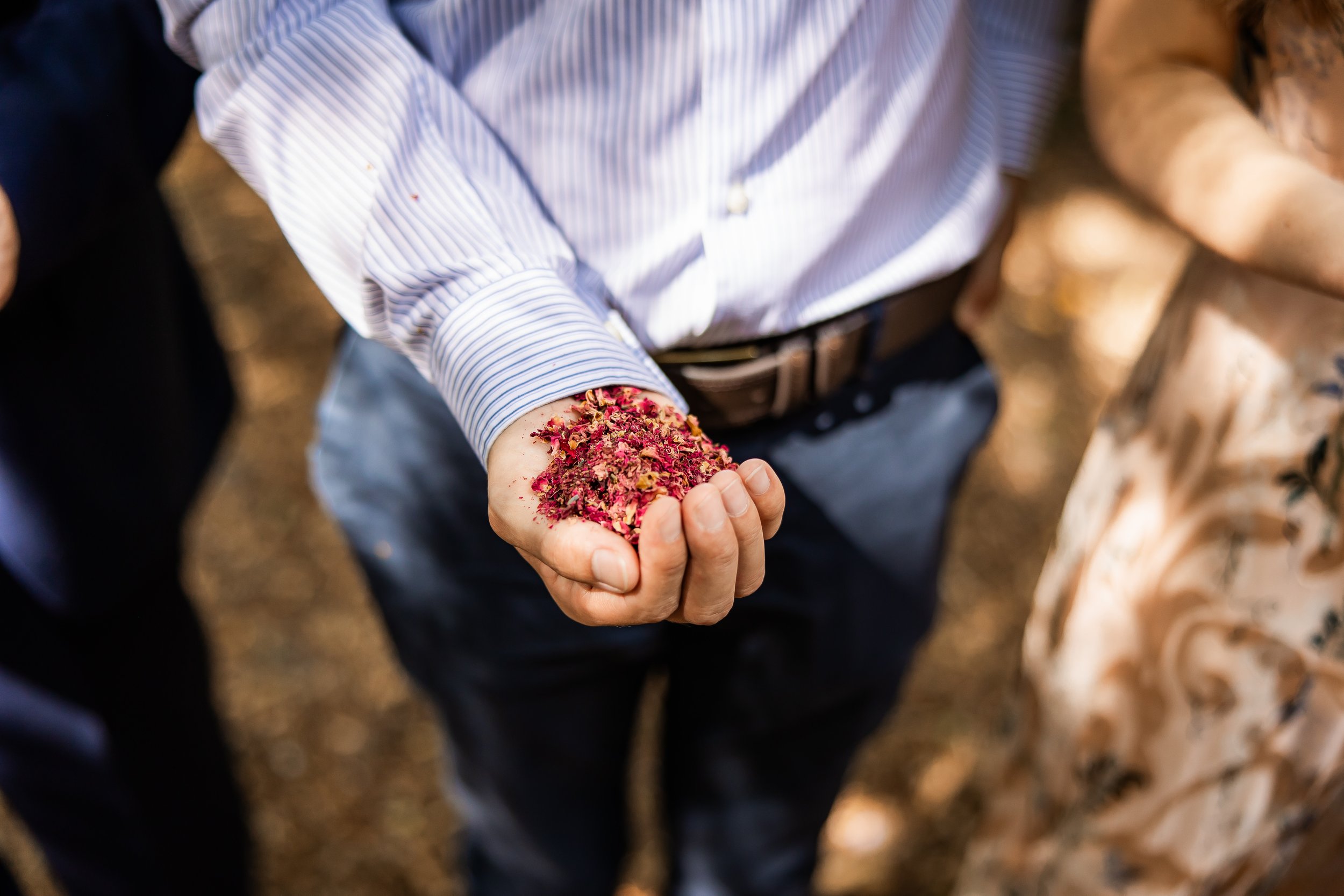 A person holding a handful of dried rose petals.