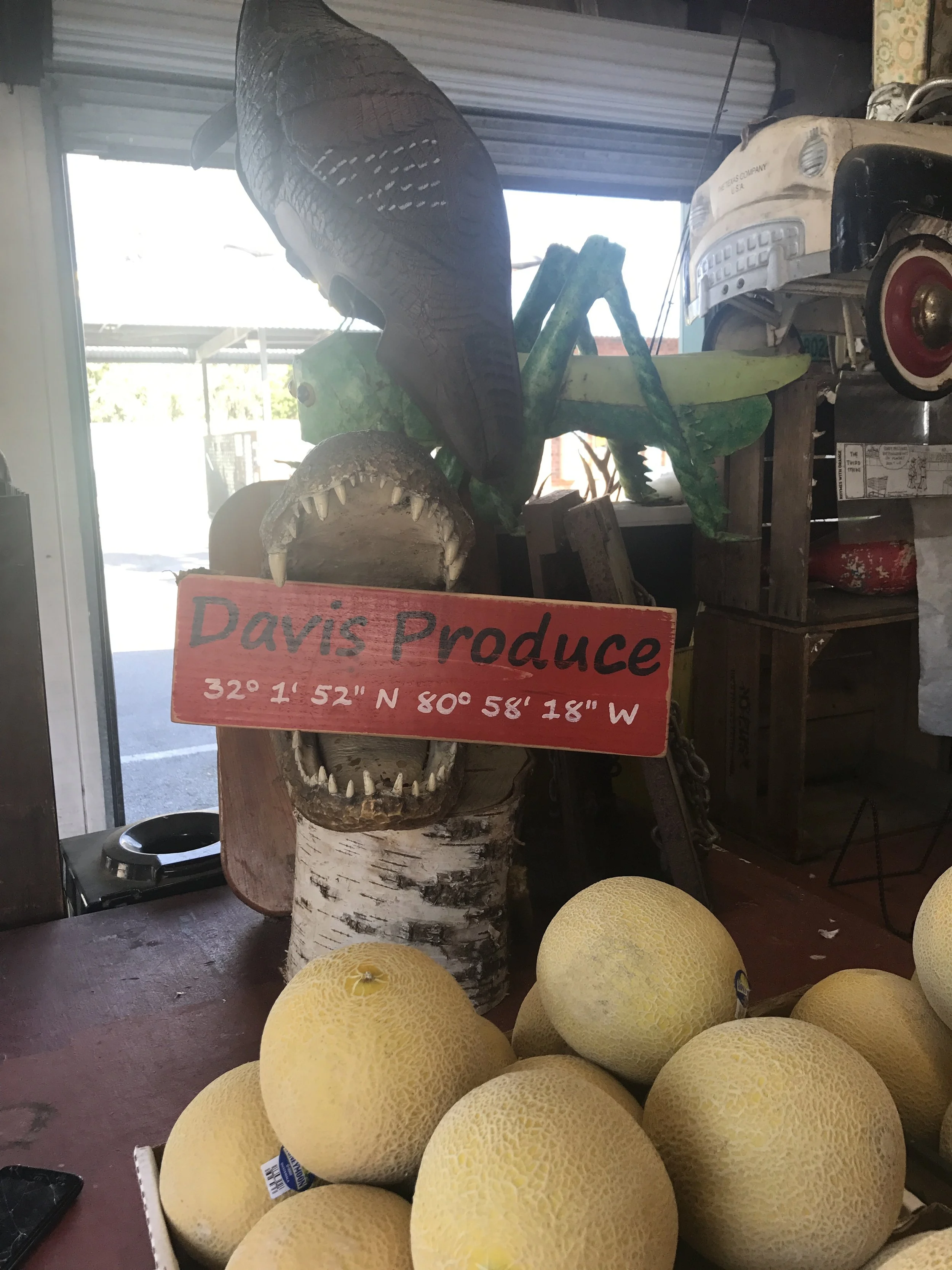 PHUN in Savannah, Georgia for St. Patrick's Day!