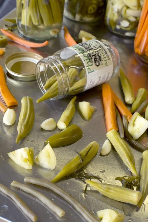 New Year Resolution pickle diet