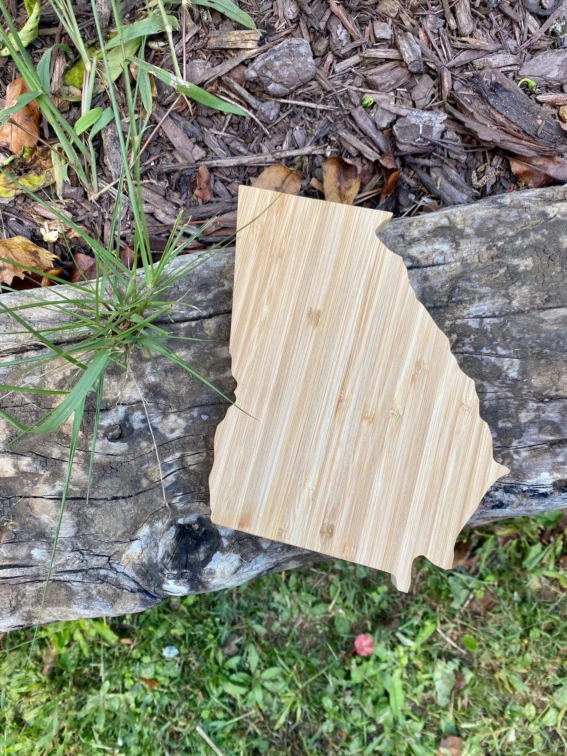 D2CC42C5-5D49-4EF2-94DF-79B2CA6C9533