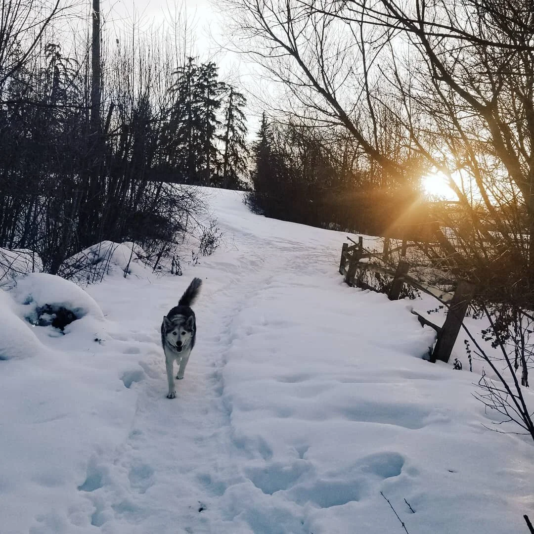 Permission to change your mind sometimes.

If you start something and decide not to finish it or follow-through, we often label it as &quot;Failure&quot;.... 

Of course, there is value and importance in the practice of commitment and perseverance...