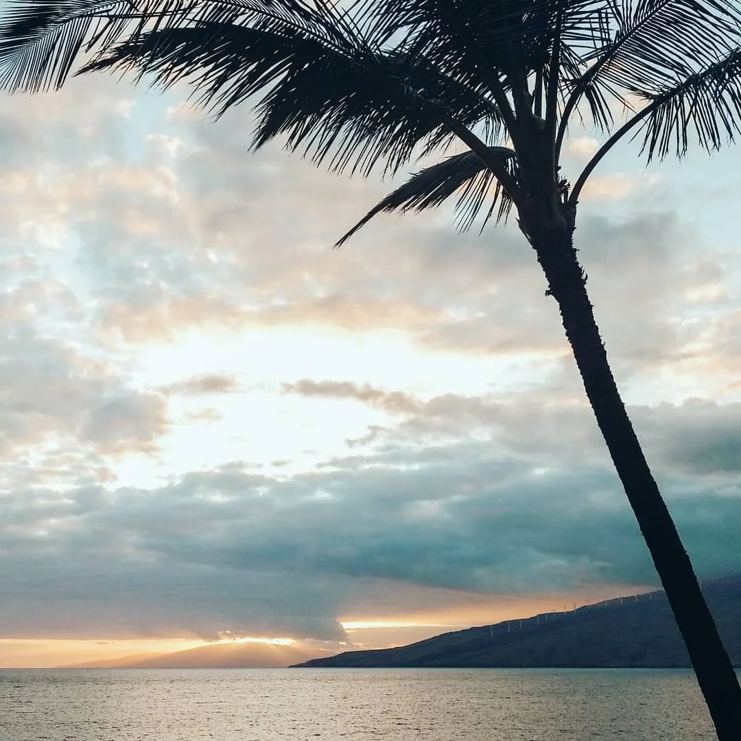 Do you have a dream or a longing that has been quietly forming on the horizon? Something that shines at the edge o your thoughts? Something that pulls you or calls to you?

Here is your invitation to LISTEN:

&quot;May you have the courage to listen 