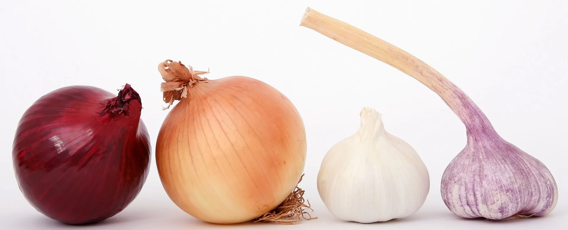 bulb-1239423_1920.jpg