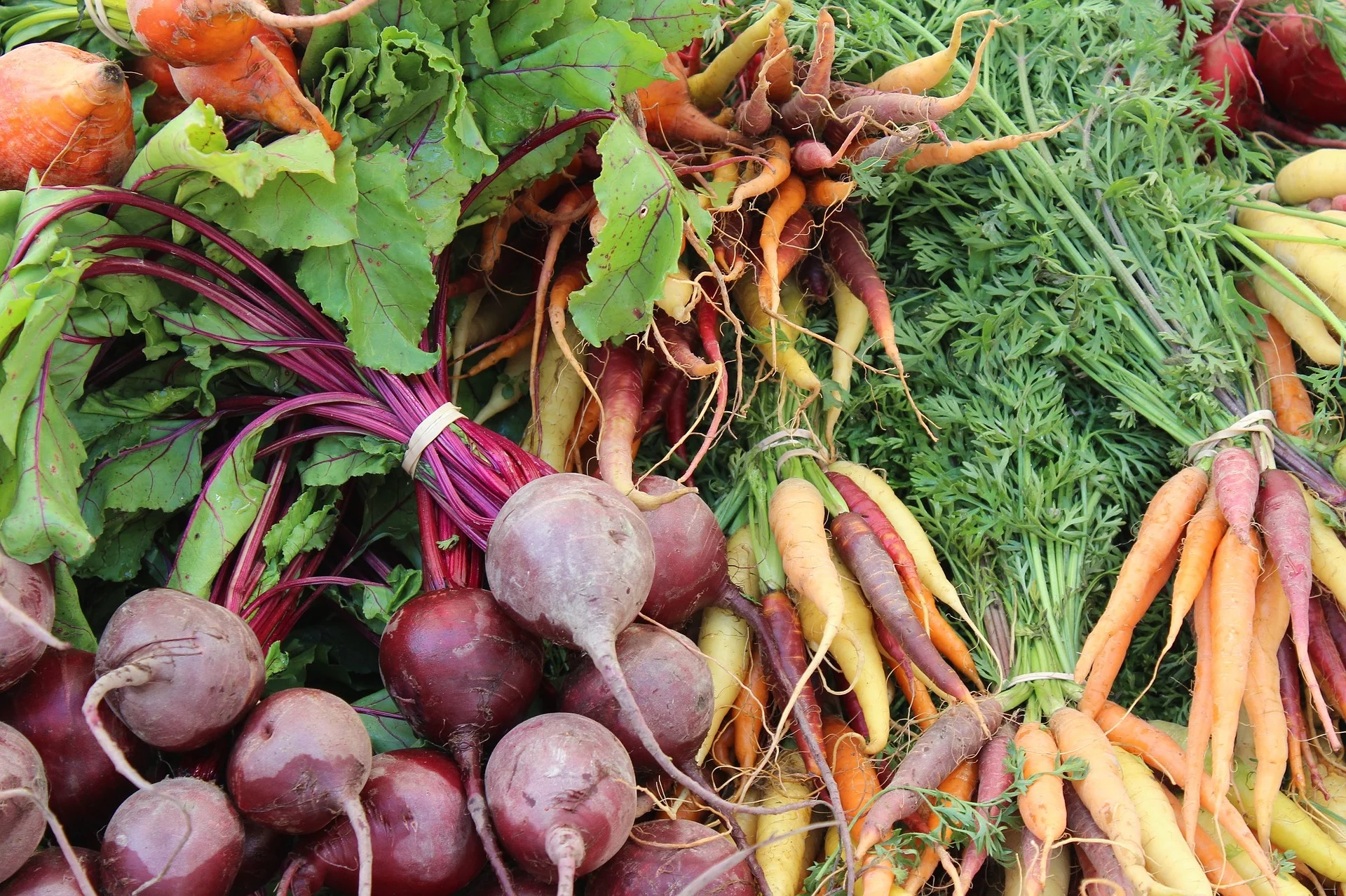 beets-1584454_1920.jpg