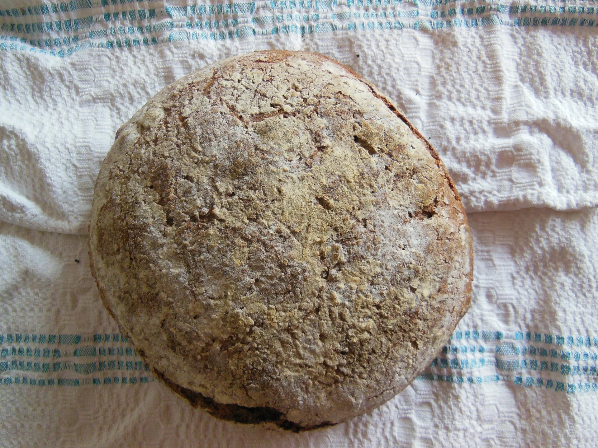 bread-261928_1920.jpg