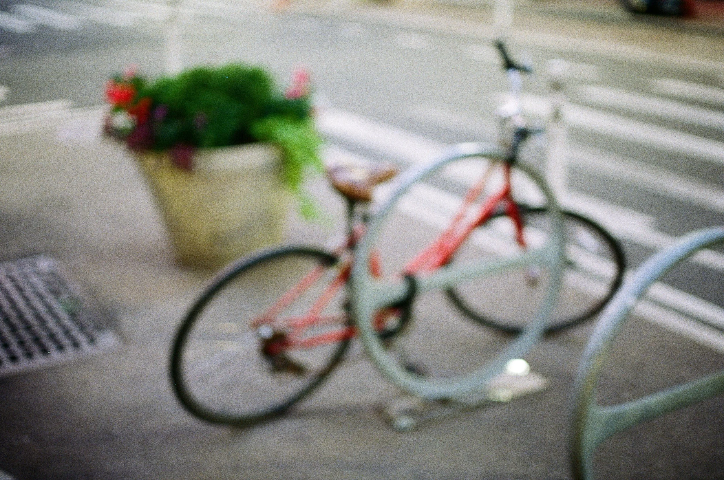 66200002.JPG