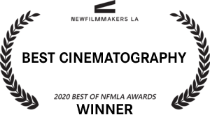 NFMLA_CINE.png