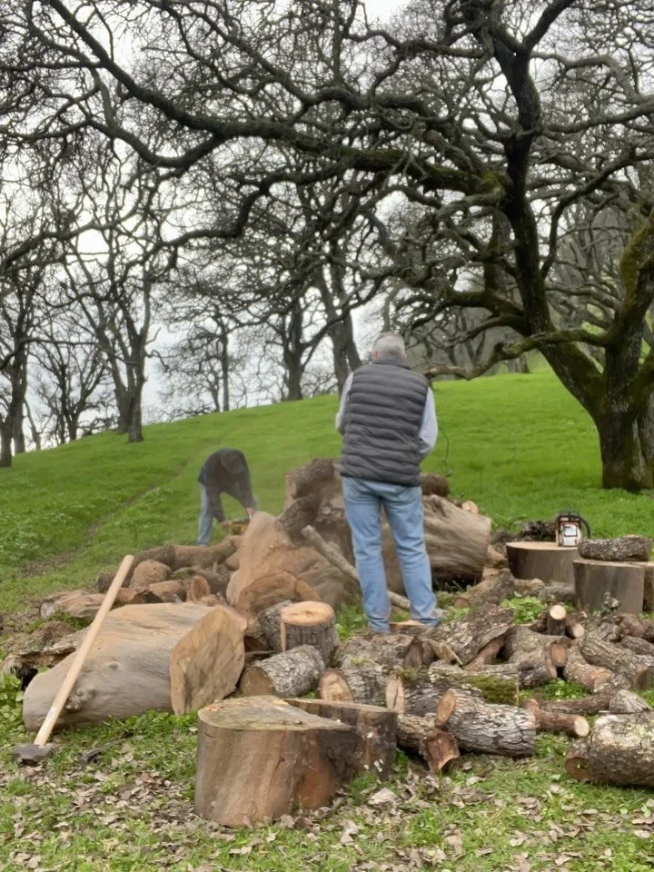 A man who cuts his own wood, warms himself twice 🪵