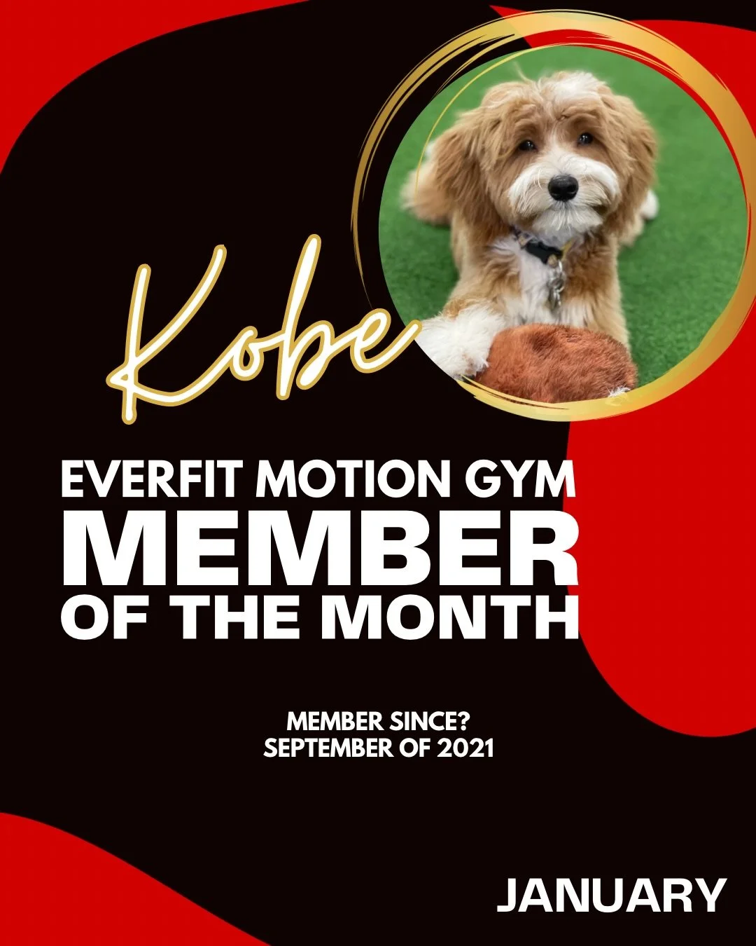 Congratulations to our January Member of the Month, Kobe!

Kobe has been dedicated to Everfit since day one and hasn&rsquo;t missed a class in over 4 years, showing up 6 times a week like an absolute legend. Your consistency, commitment, and energy s