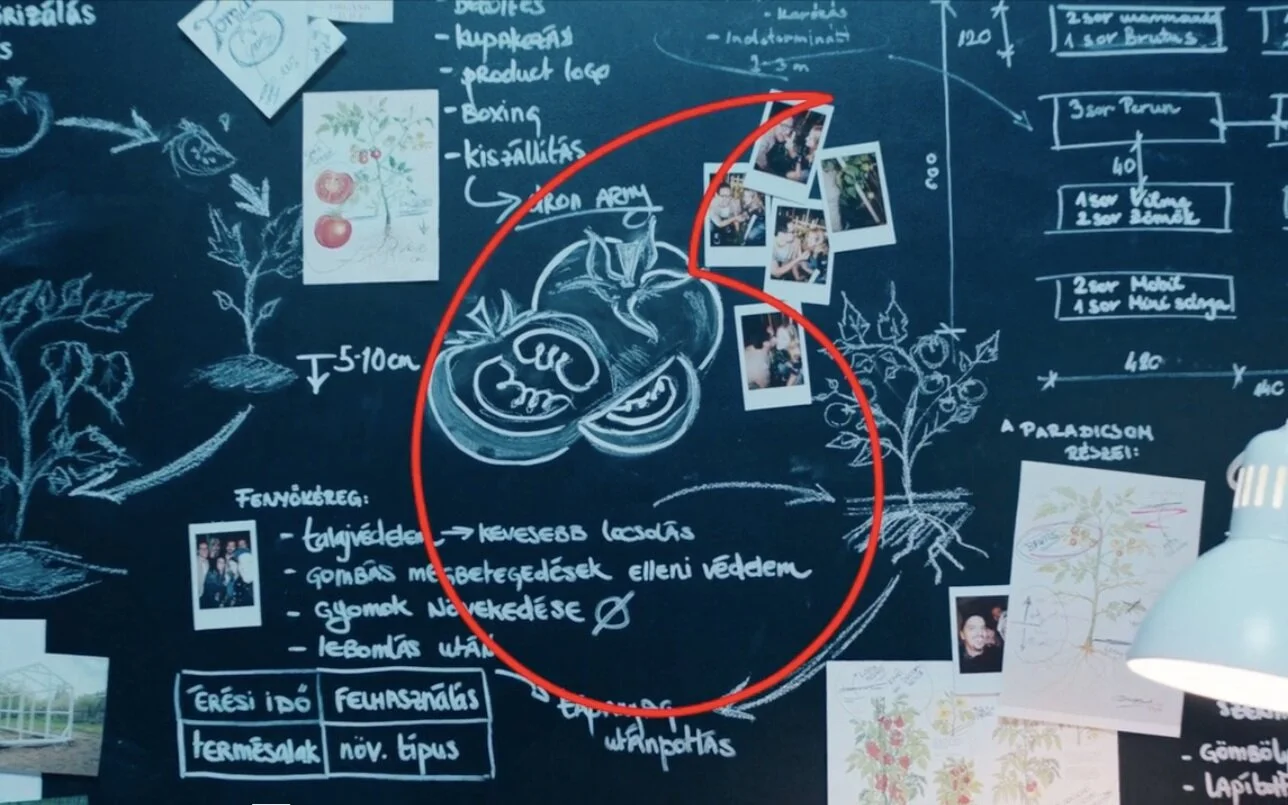 Menzkie, new director in our team