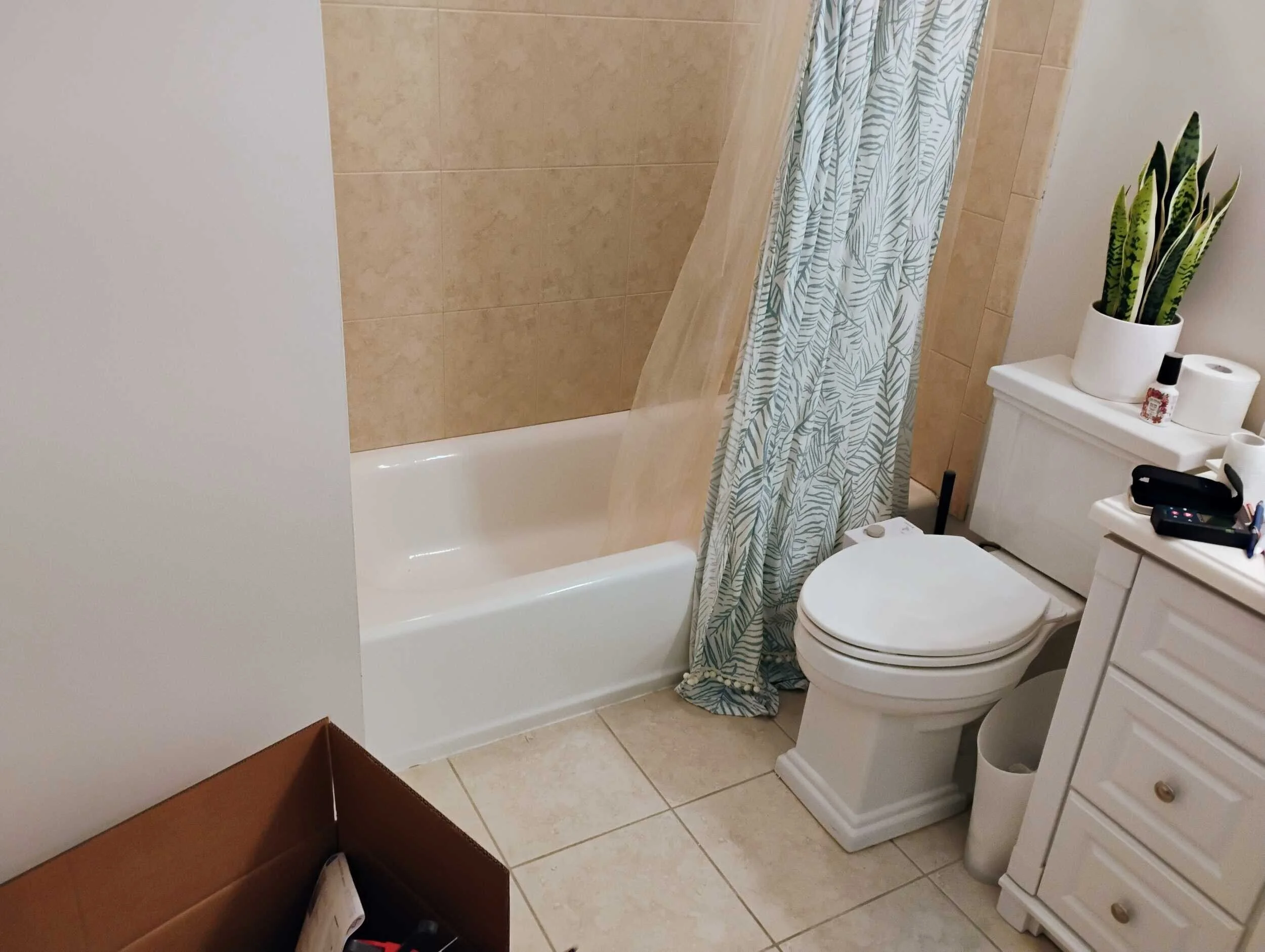 IMG_20241004_115425362_AE (2).jpg