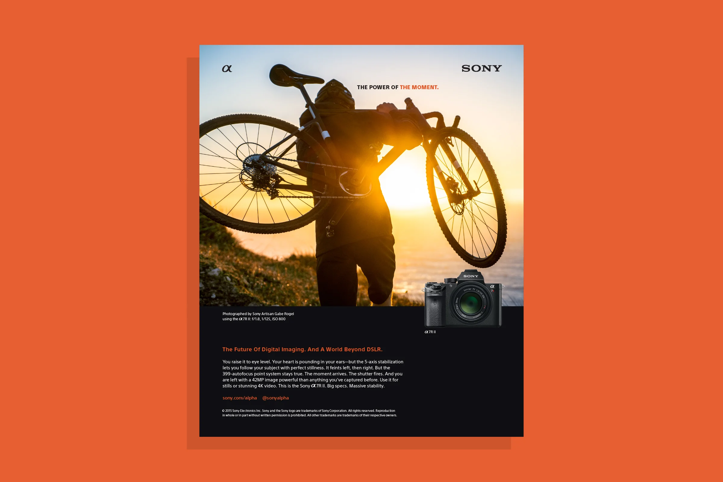 Sony_print_2.jpg