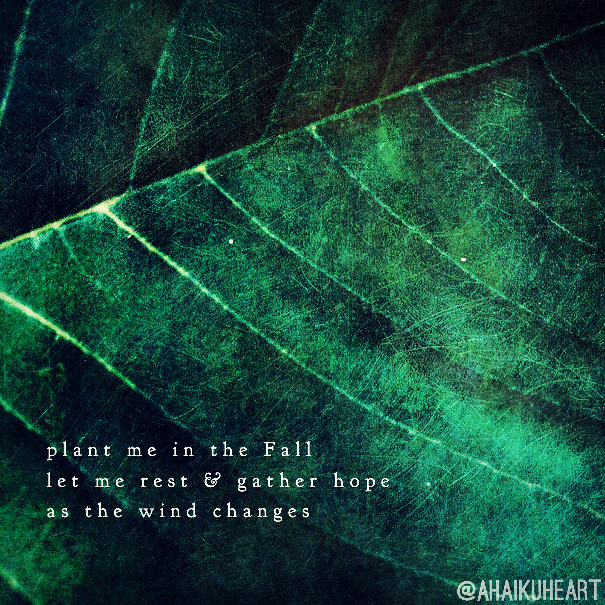   plant me in the Fall  