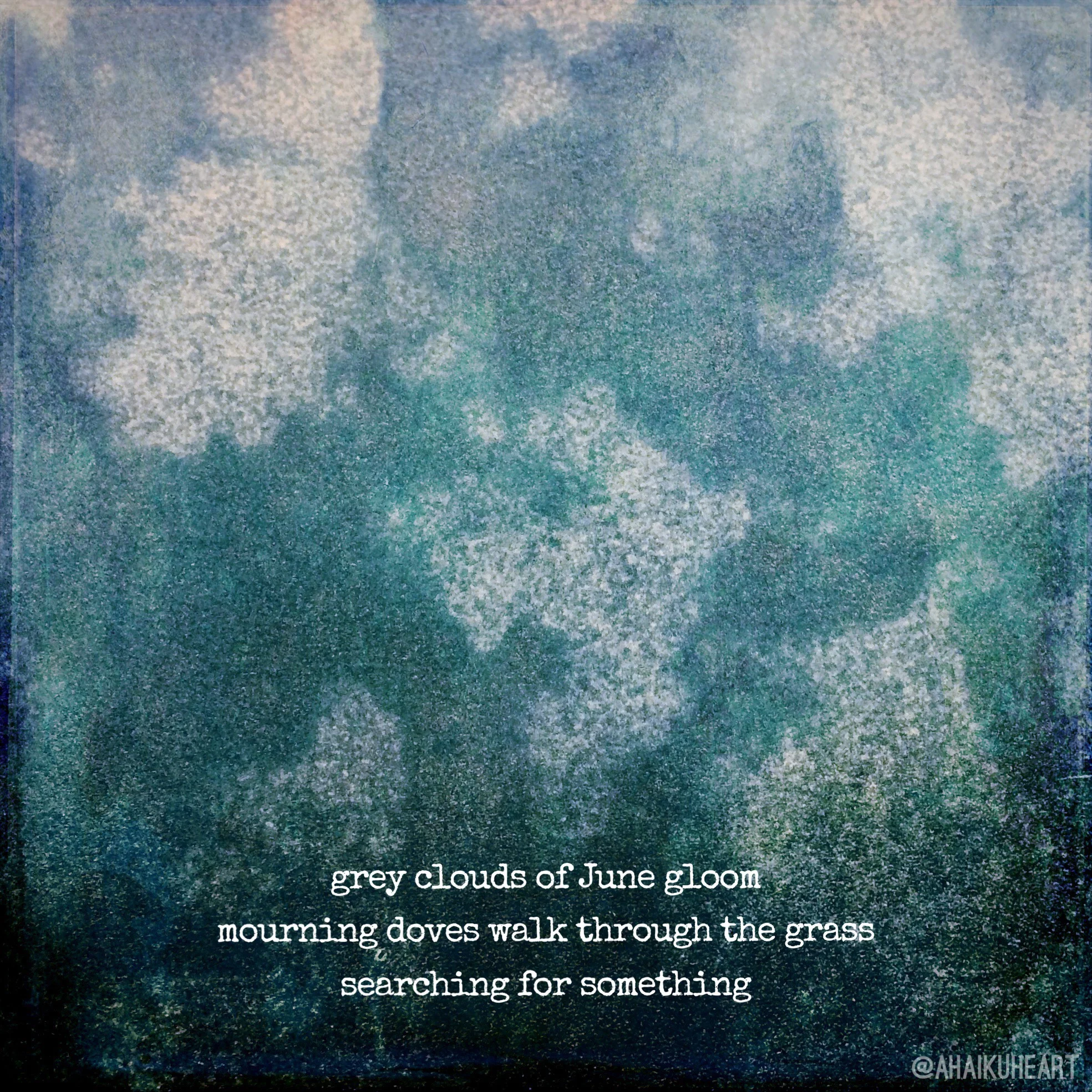   searching for something  