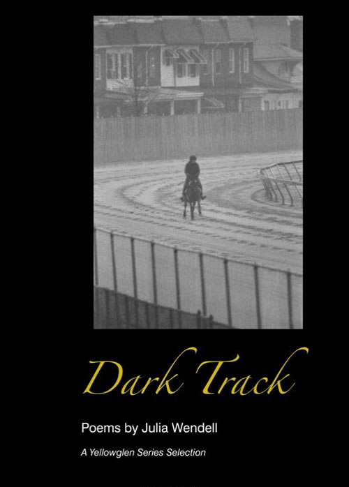 book-dark-track-julia-wendell-author-writer-equestrian-horses.jpg