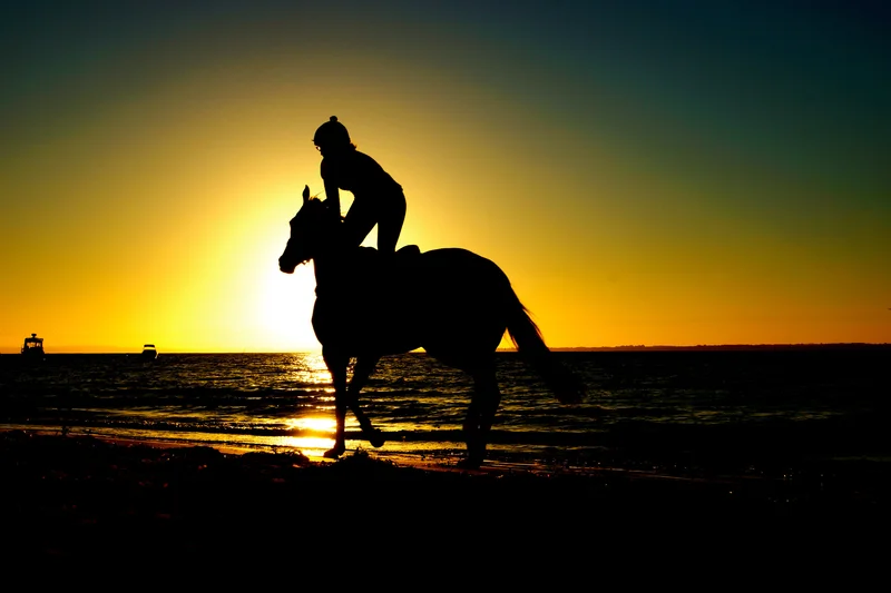 person-riding-horse-into-the-sunset_800.jpg