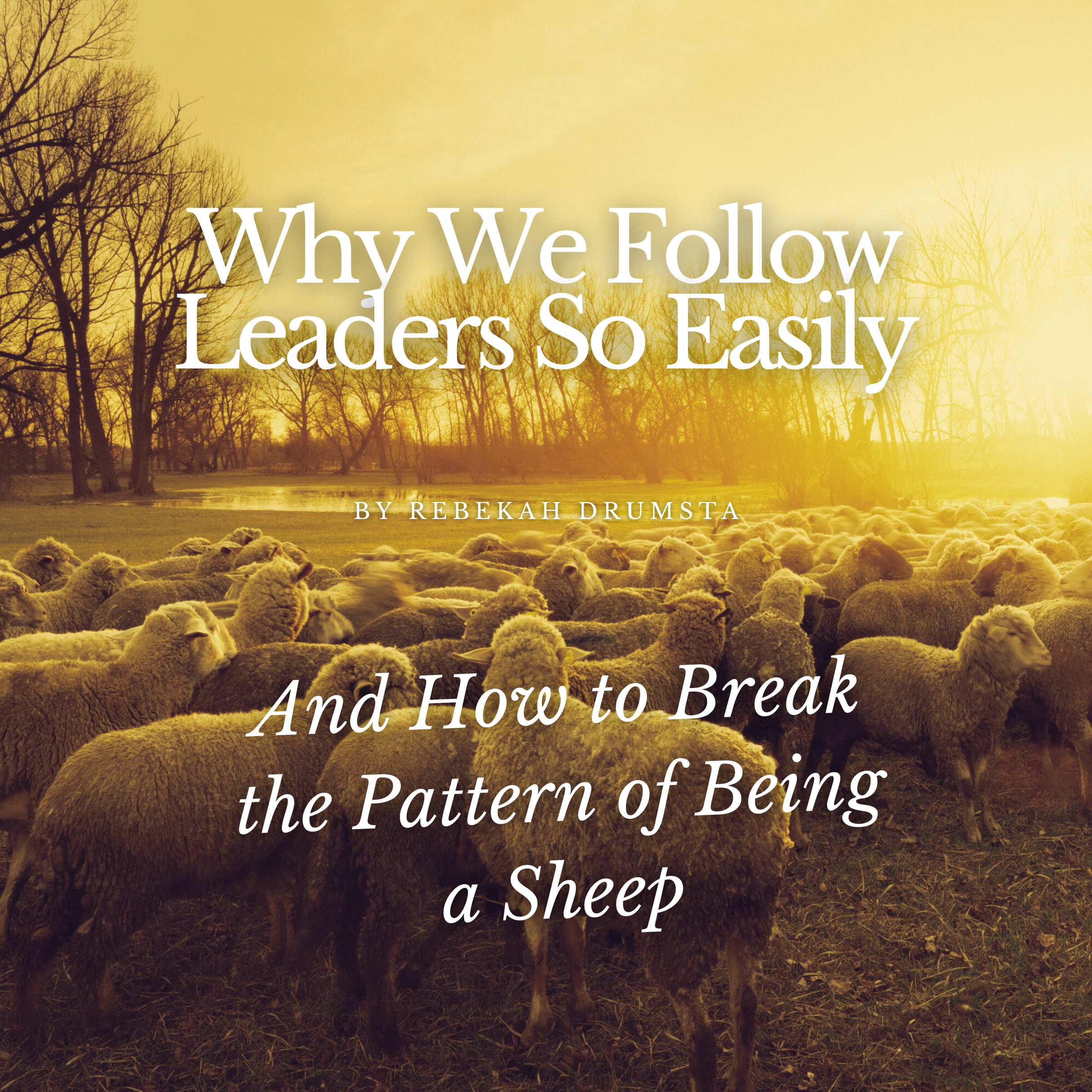 Why We Follow Leaders So Easily And How to Break the Pattern of Being a Sheep