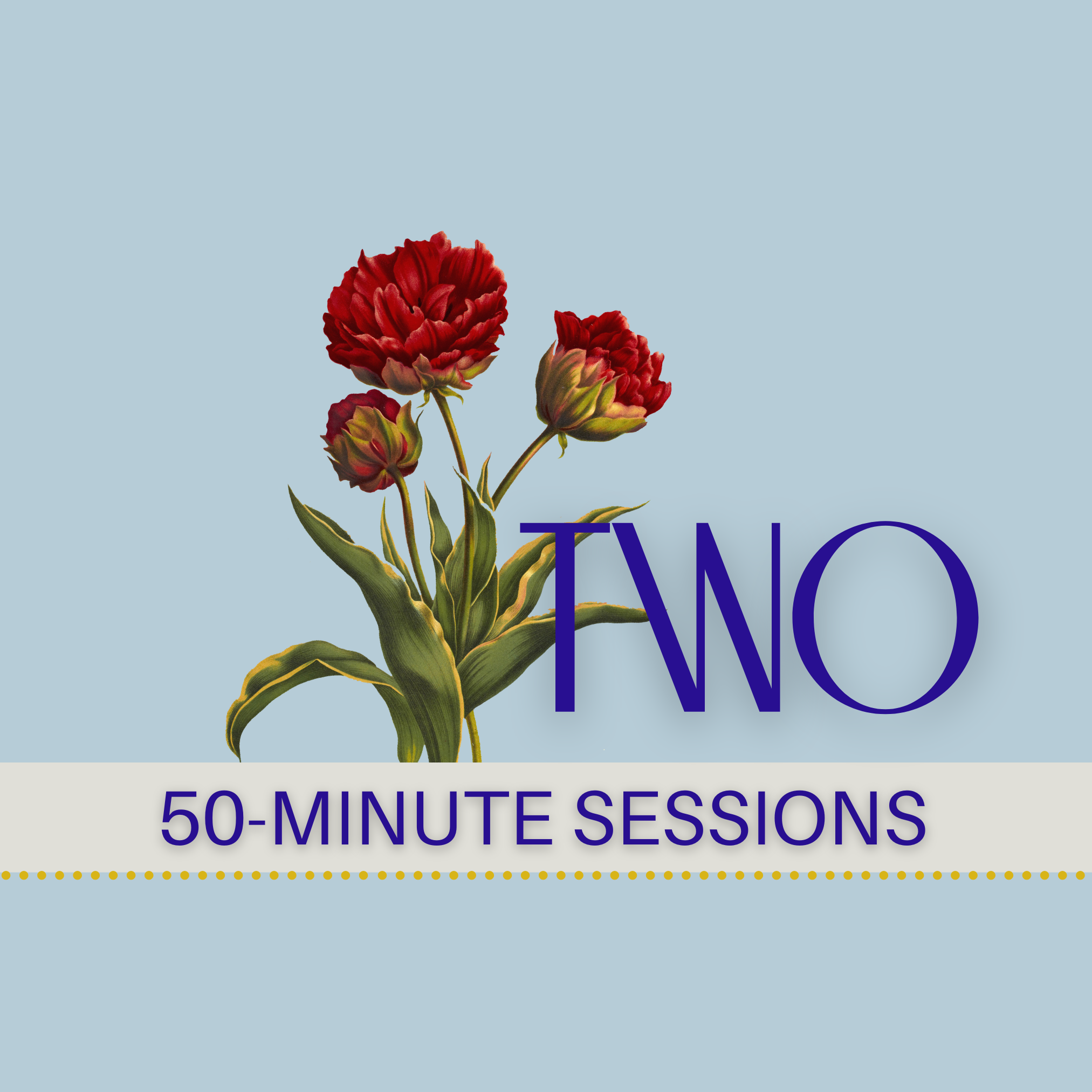 Two 50-Minute Coaching Sessions